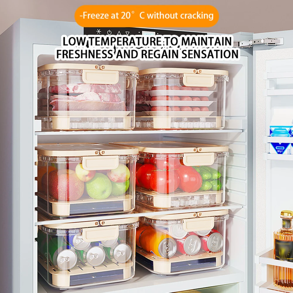 Recipiente portátil de armazen - Xxl Food Storage Container avaliação e preço