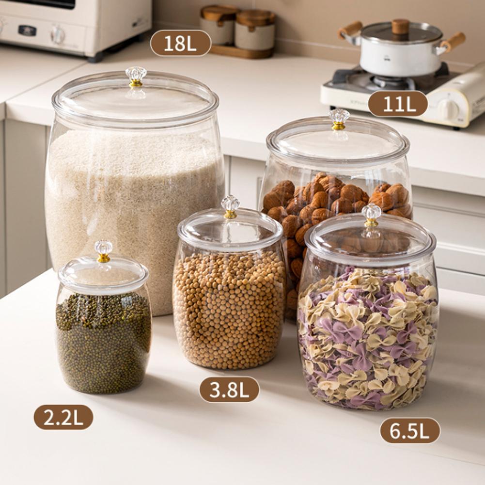 Grande Pote Plástico Transpare - Food Storage Large avaliação e preço