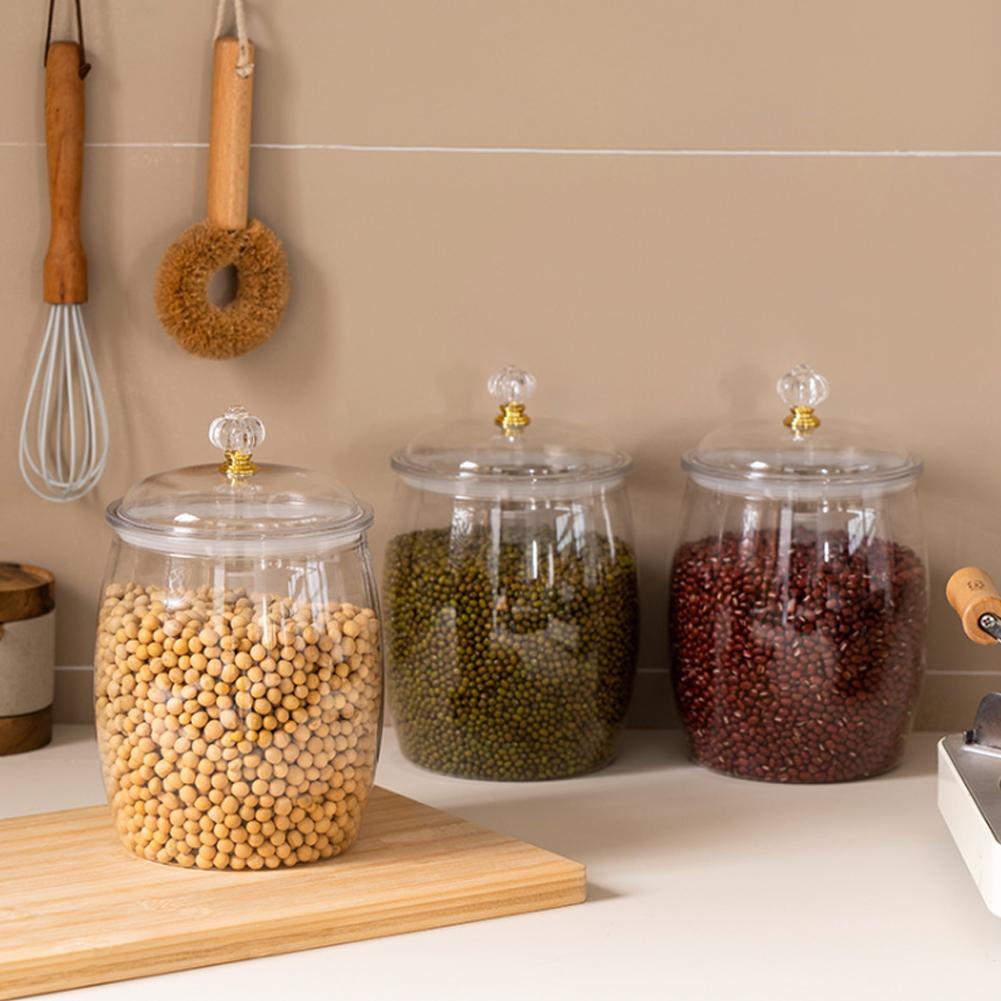 Grande Pote Plástico Transpare - Food Storage Large avaliação e preço
